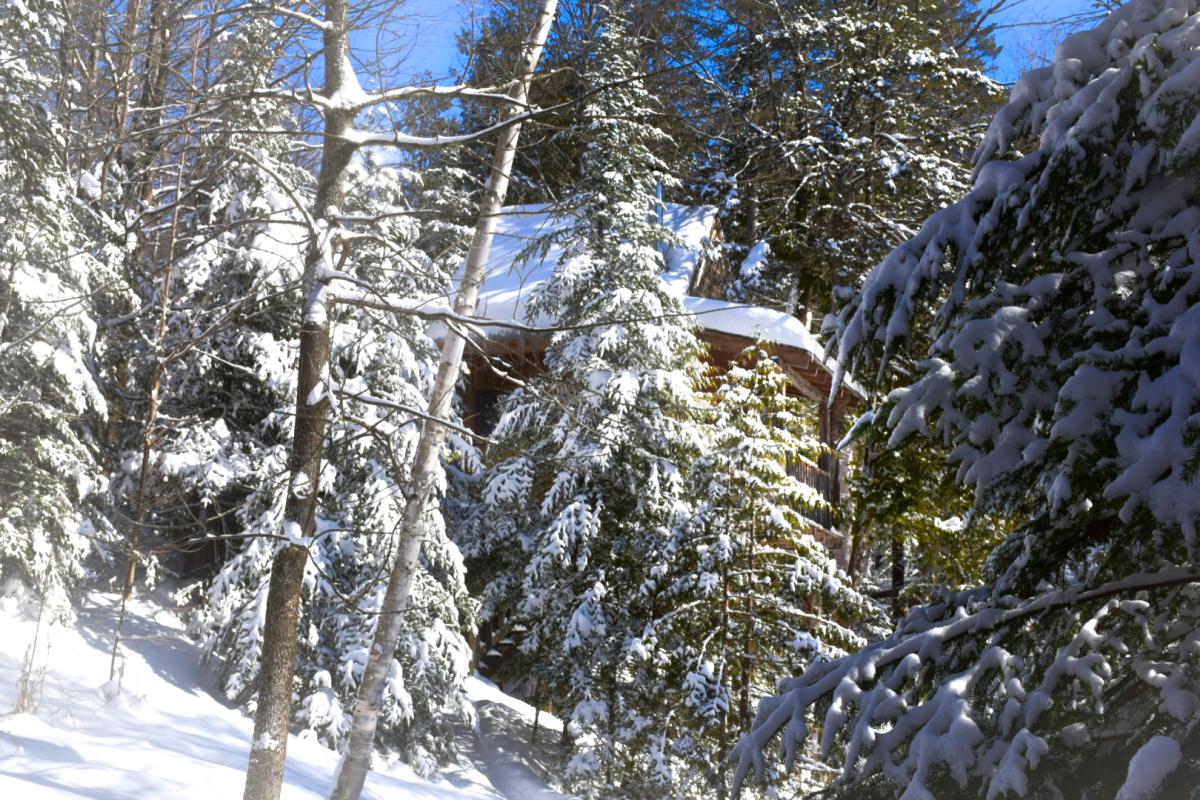 cabne-en-hiver