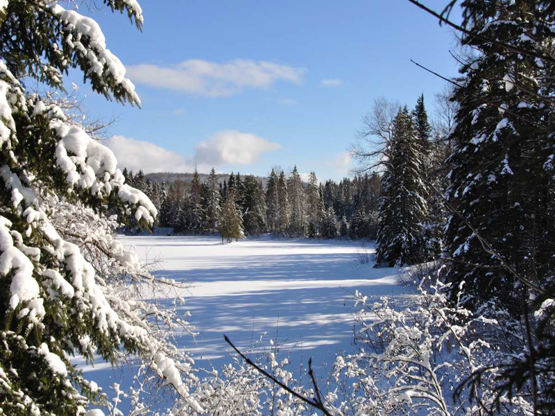 domaine-canada-cabanes (1)