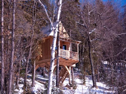 colibri-cabane-hiver